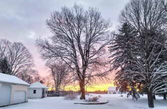 The Little Issues E-newsletter #404 – Life, laughter, and plenty of nice meals!